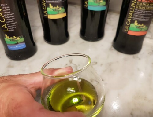 I nostri Oli: Ottimi anche dopo 12 Mesi