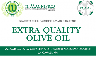 Blend la Cavallina concorso il Magnifico