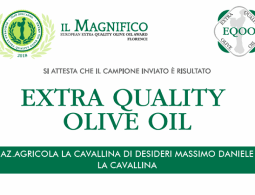 Concorso Il Magnifico