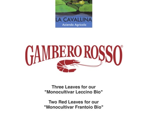 Gambero Rosso Guide