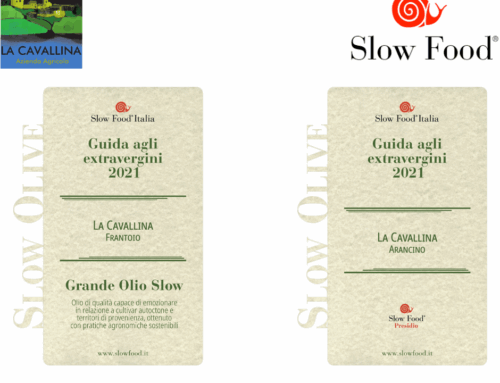 Gli Oli de La Cavallina premiati da Slow Food