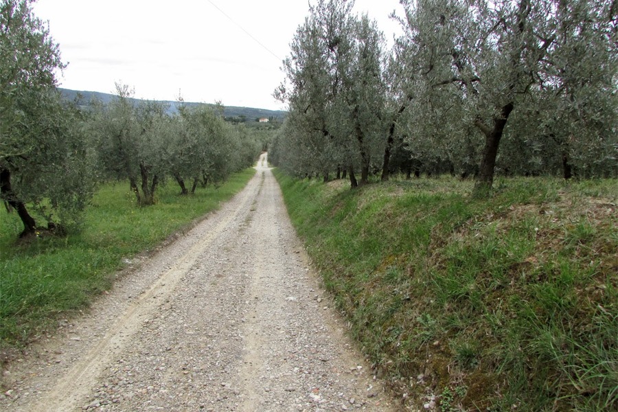 Sentieri del Montalbano